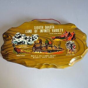 Wall Plaque South Dakota Land of Infinite Variety Souvenir Plastic Hanging Japan